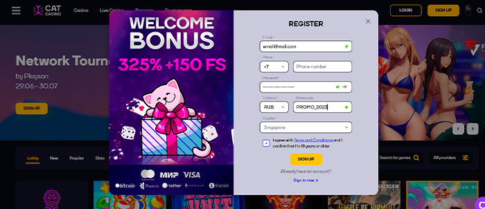 Кэт казино регистрация - Шаг 4